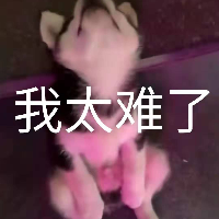 zhangyi's avatar